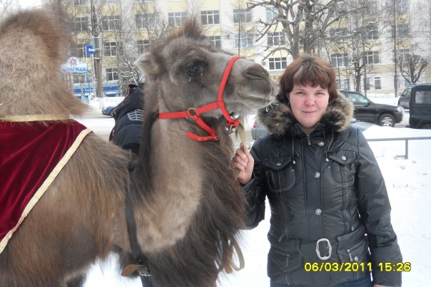 №64, Ирина Кощеева, 24.1.1979 №64, Ирина Кощеева, 24.1.1979