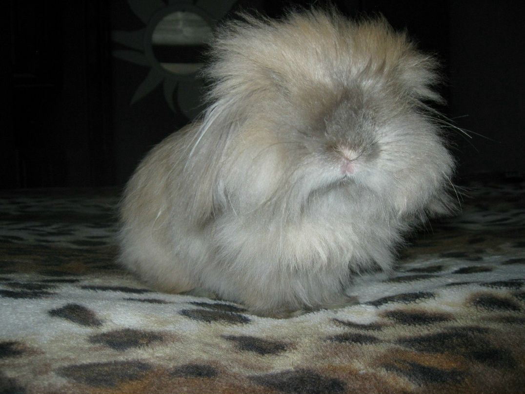 Кристина Павлова | Изобильный