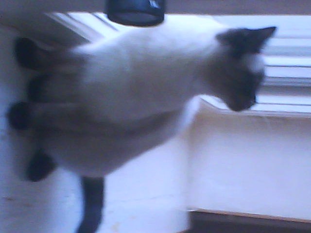 Мария Ткачёва | Казань