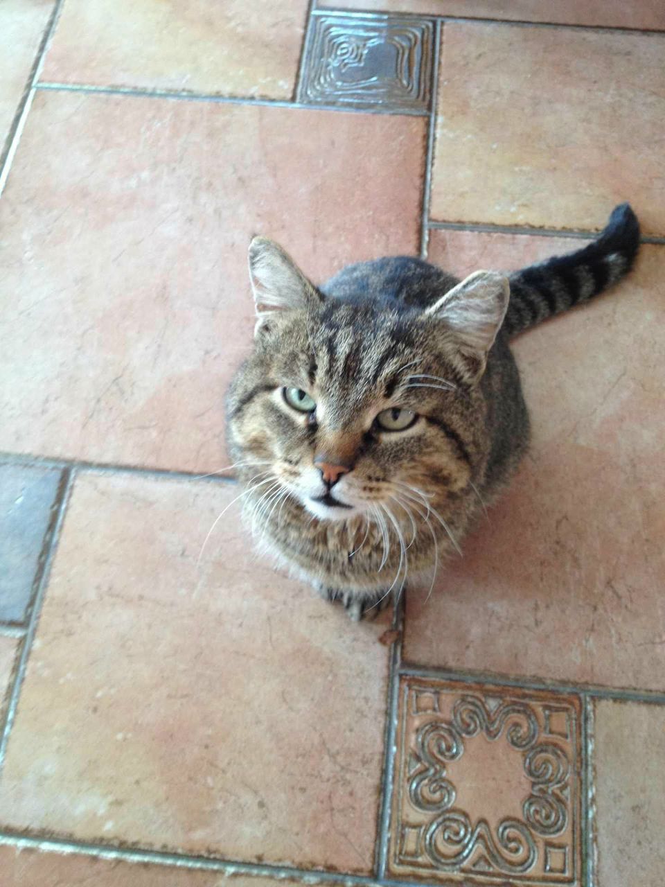 Роман Михелик | Москва