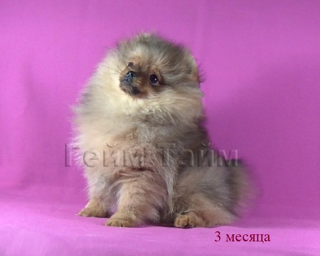 Любовь Якубович | Калуга