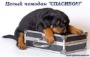 №39 Наталия Аршанская