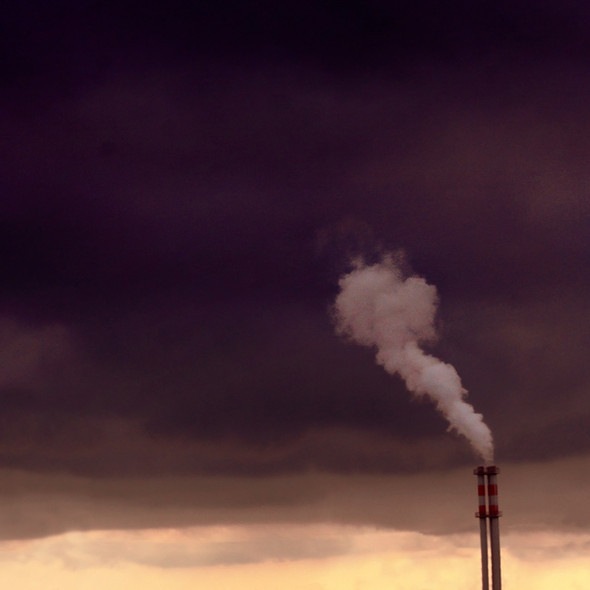 №74, Олеся Тату, Санкт-Петербург №74, Олеся Тату, Санкт-Петербург