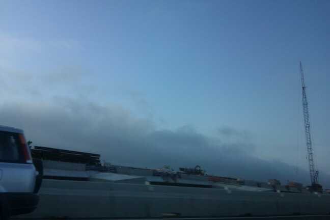 Ника Алябьева | San Francisco