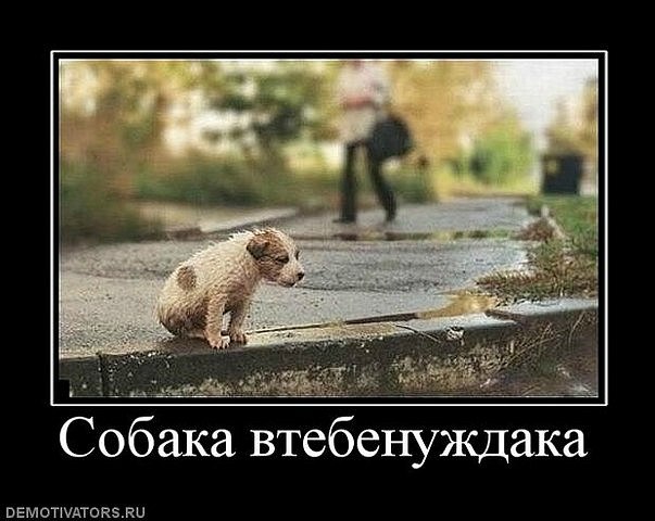 Лера Ратушная | Екатеринбург