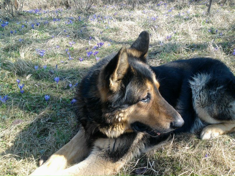 Serge Yakim | Мукачево