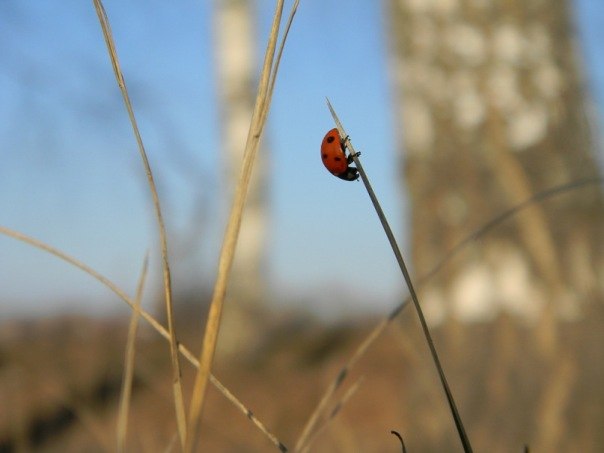 Maria Ignatova | Нижний Новгород
