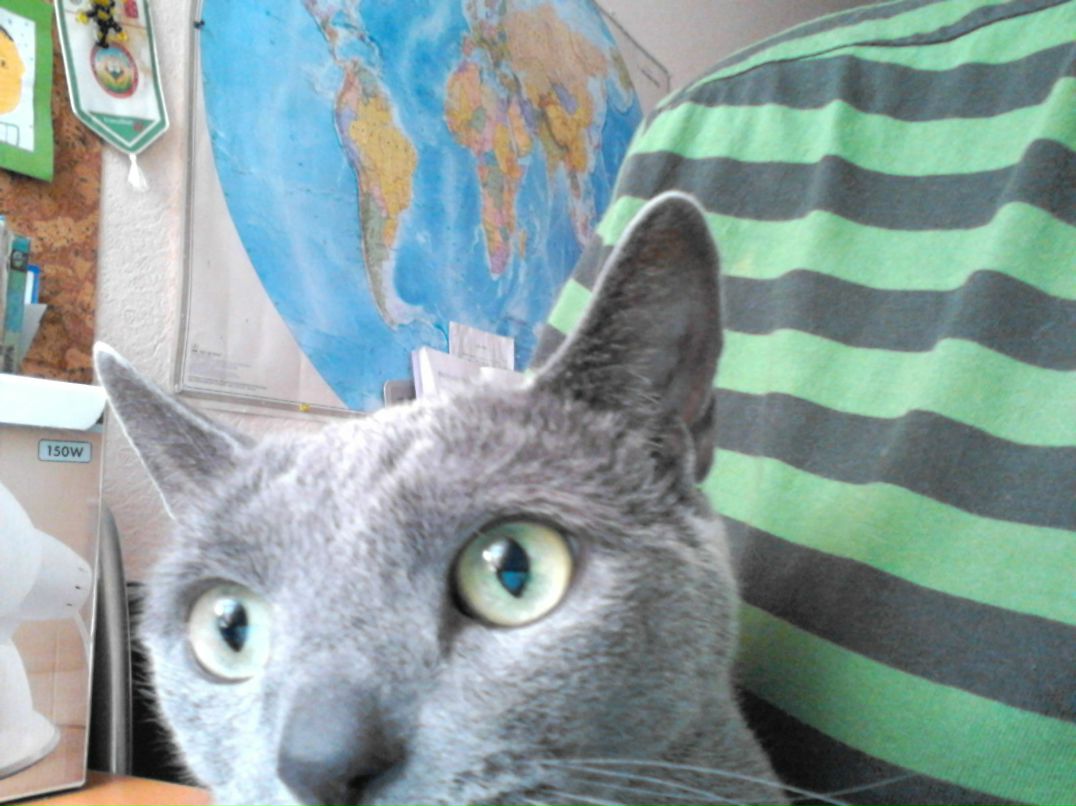 Элиза Петрова | 