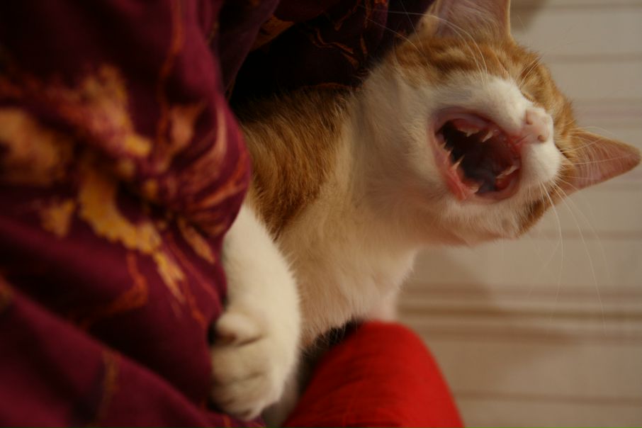 №32, Anna Troukhina, Санкт-Петербург №32, Anna Troukhina, Санкт-Петербург