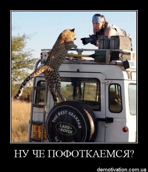 Лена Топчий | Санкт-Петербург