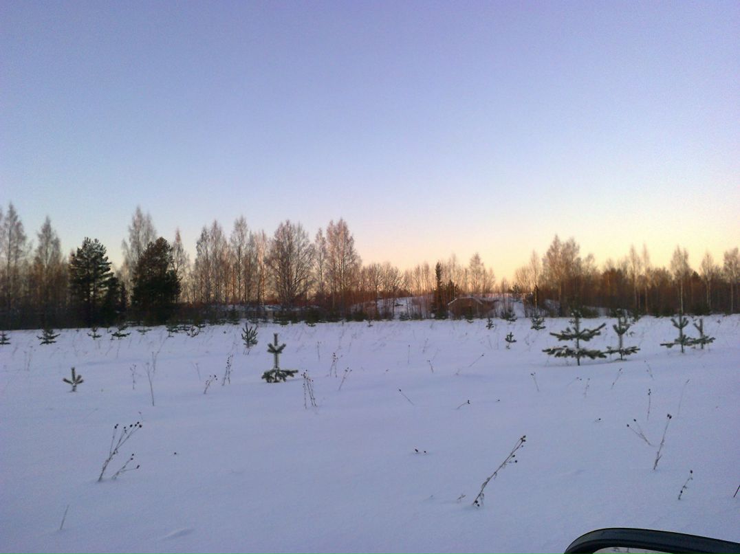 Антон Меркульев <fenix_4> | Пикалево