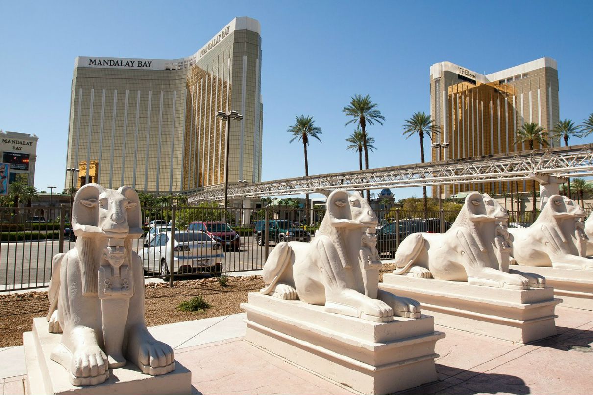 Иван Бессмертных El Gato | Санкт-Петербург