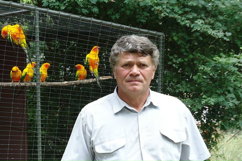 Владимир Ермолаев | Чебоксары