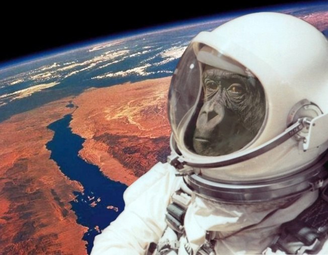 Яна Рудометова | Санкт-Петербург