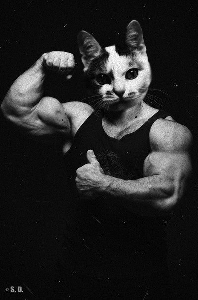 Павел Викторов | Воронеж