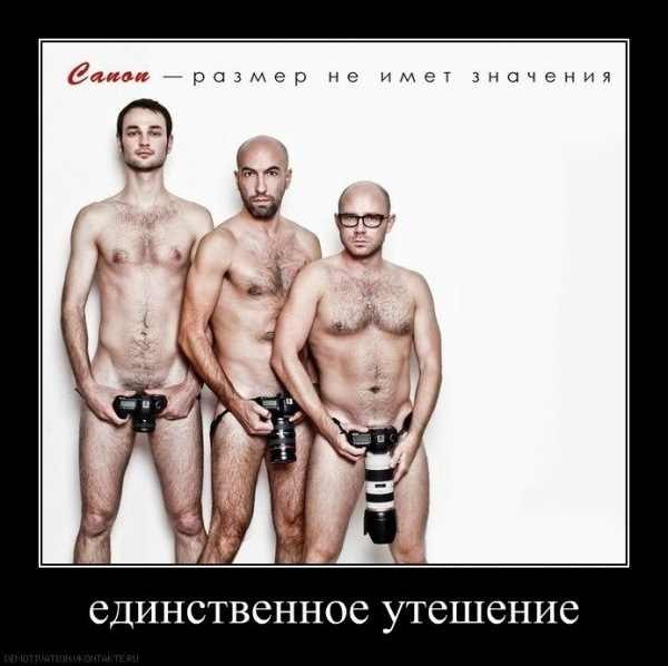 Анна Шустак | 