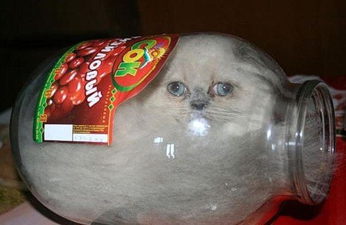 Сергей Иванов | Краснодар