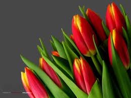 Клим Летов Rastaone | Москва