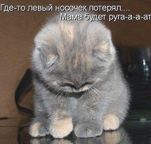 Анастасія Некрасова | 