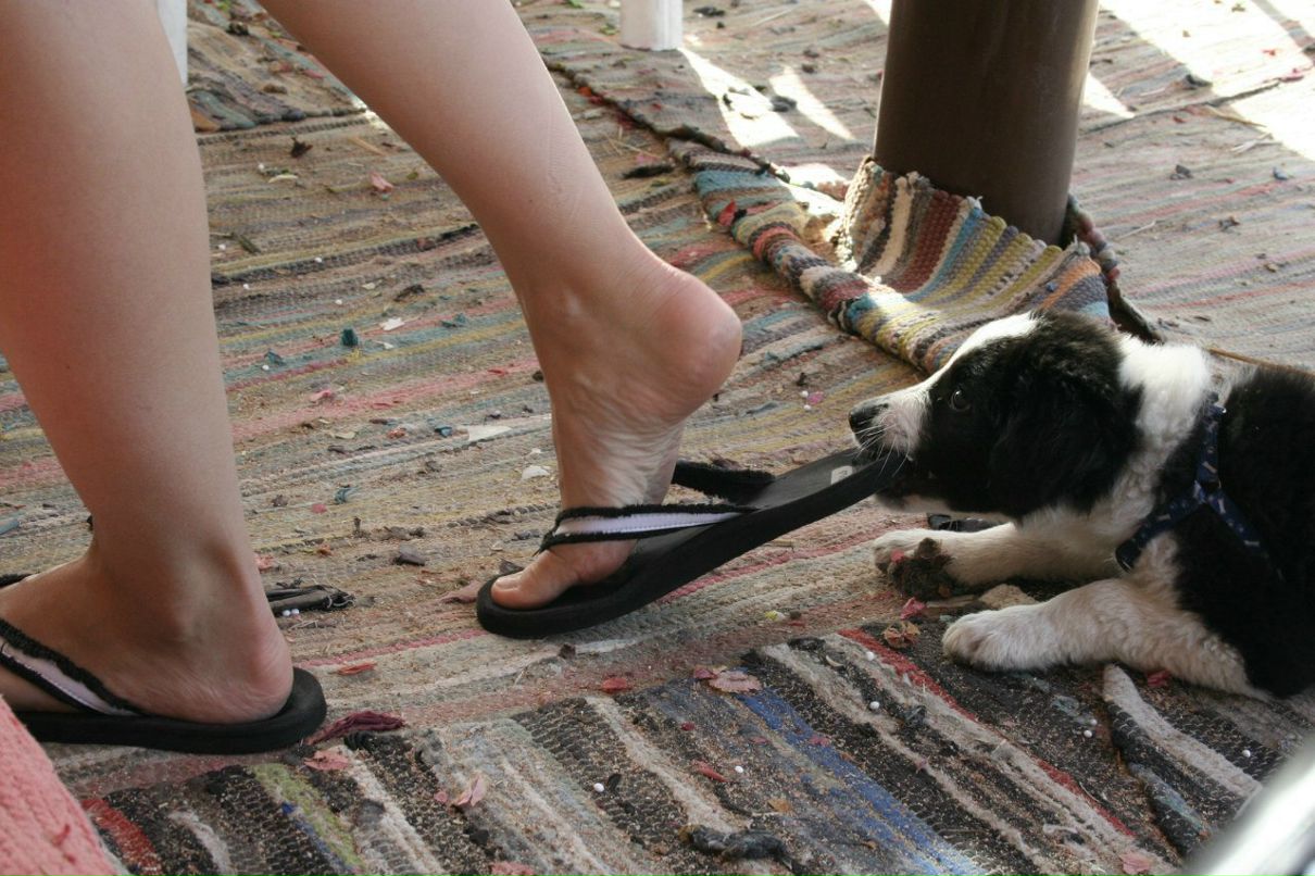 Настя Чертунина | Санкт-Петербург