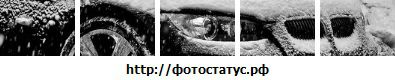 Фотография Роман