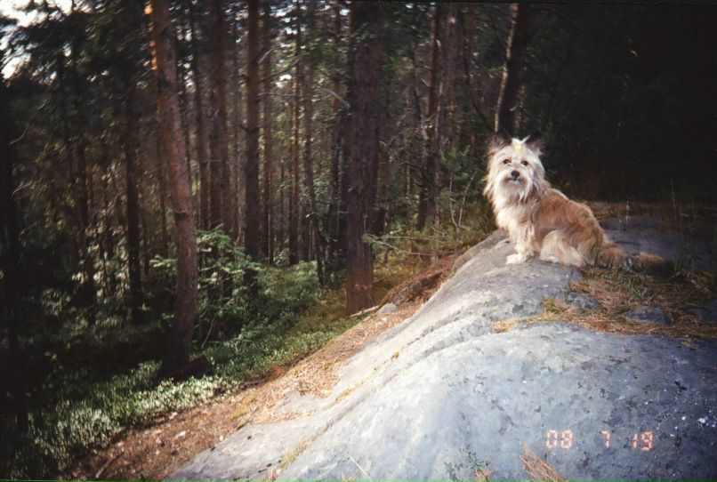 Елена Назарова | Надвоицы (пгт)