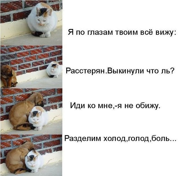 Наталья Шешукова Александровна | Дальнегорск