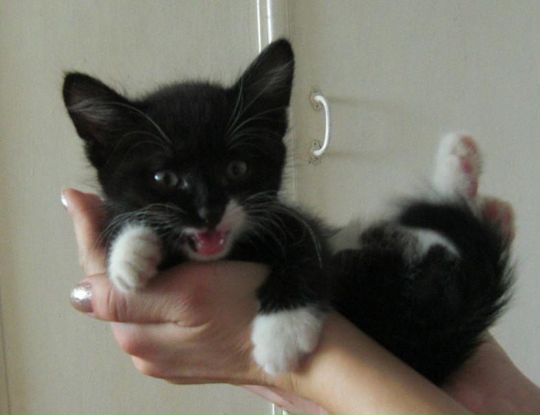 №17, Сергей Трушков №17, Сергей Трушков