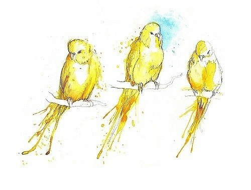 Аделя Сушко | Волгоград