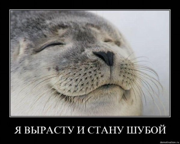 Феня Тенявый | 