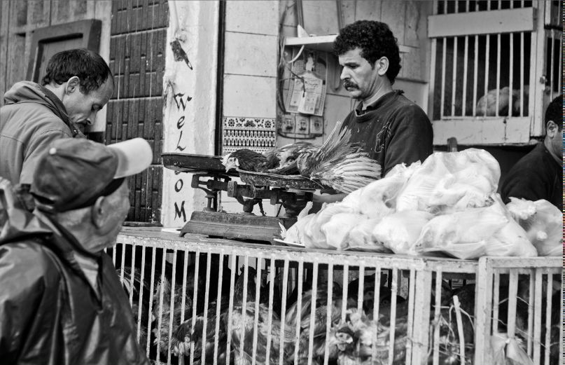 Женя Краснобай | Сочи