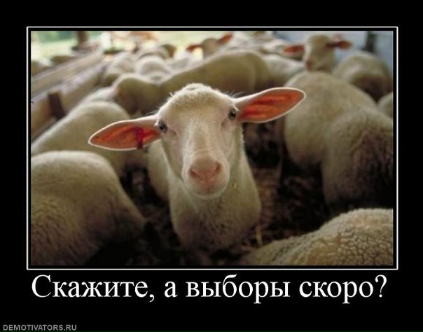 №91, Владимир Федоровцев №91, Владимир Федоровцев