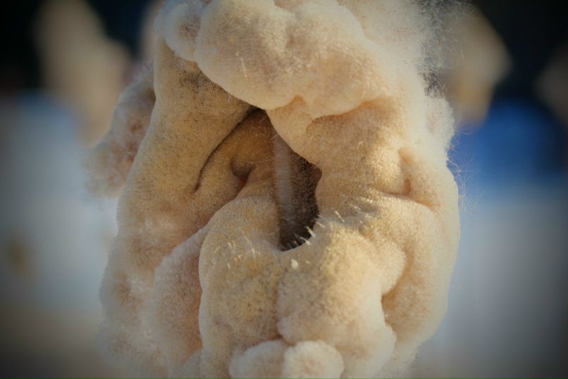 Игорь Цветков DJ Tsvet | Москва