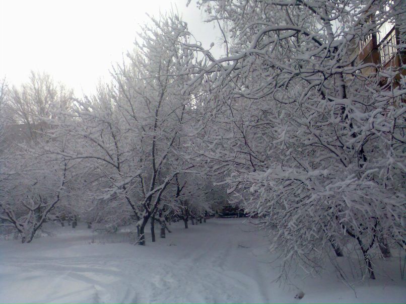 Виталий Очеретяный | 