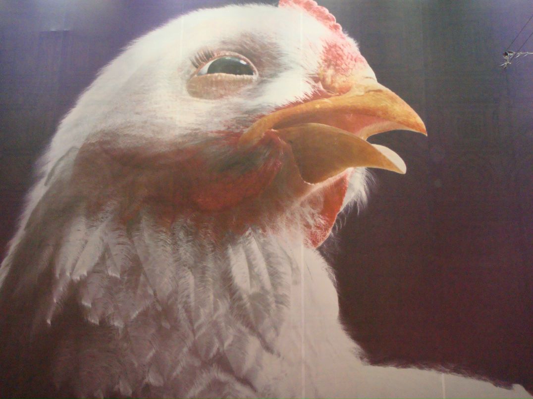 Миша Гаркуша | Москва