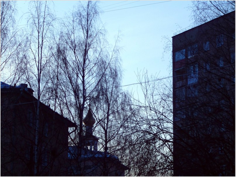 Дмитрий Карнацкий | 