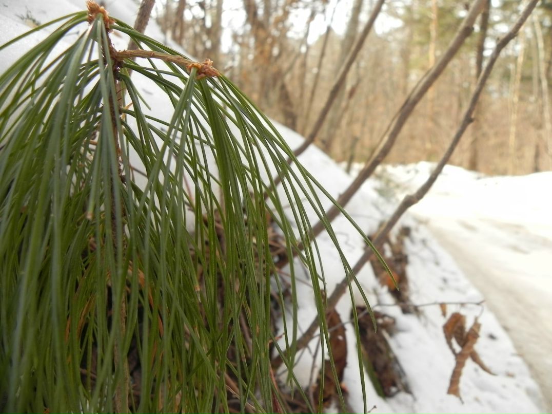 Полина Федоскова Teetotal | Владивосток