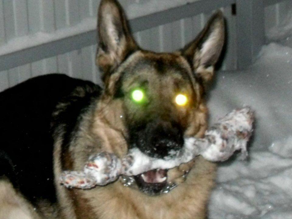 Дмитрий Паршин | Иваново