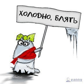 Тарас Прядун | Тернополь