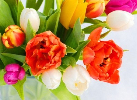 Надія Марценюк | 