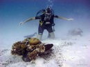 Фотография Стефанюк Оксаны