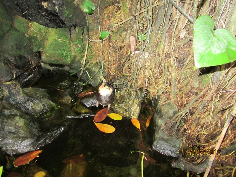 Valentina Stepanova | Санкт-Петербург