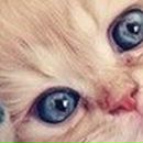 Инна Данильченко | Бобринец