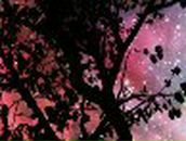 Татьяна Лотова | Ревда