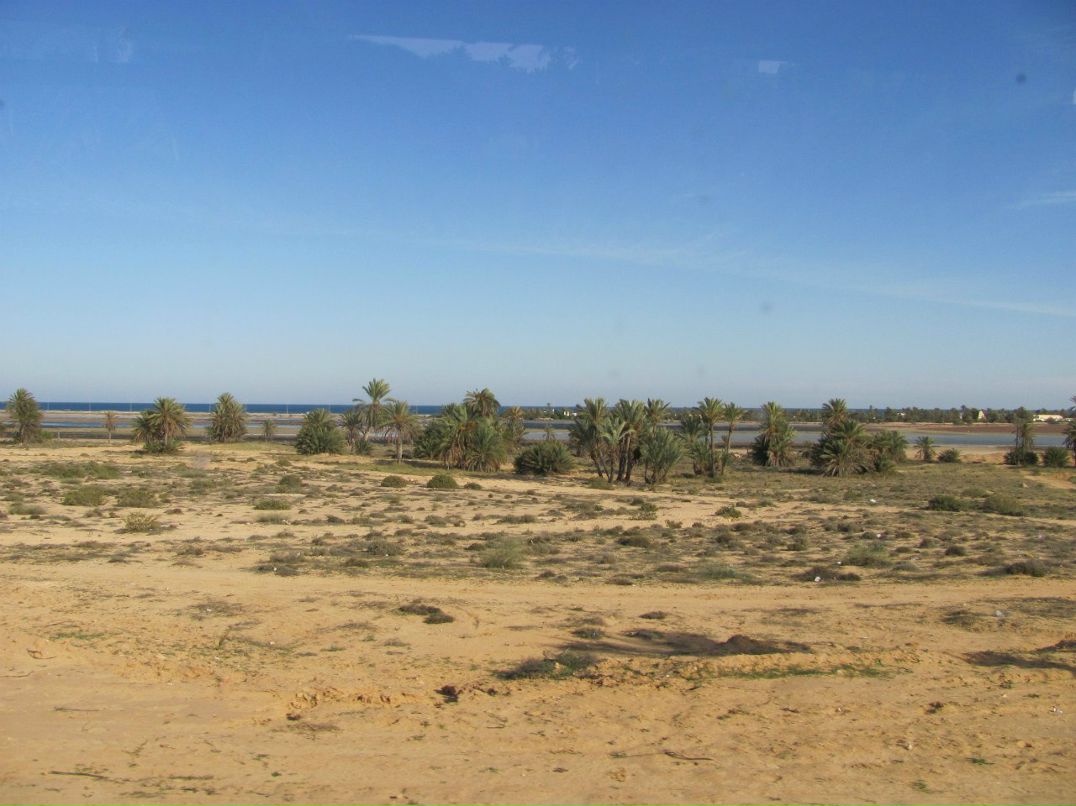 Виктор Ведехин | Санкт-Петербург