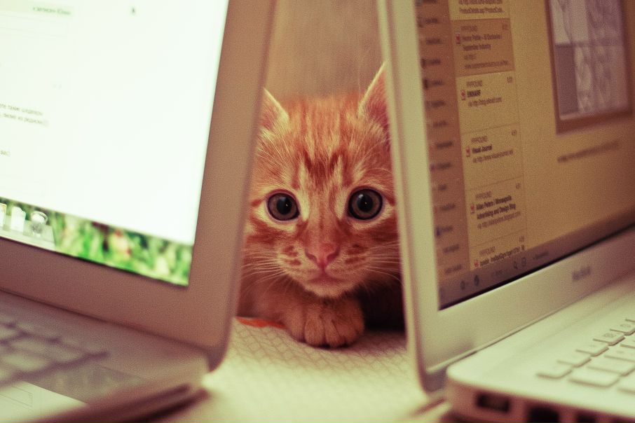 №35, Вадим Михалев, 36 лет, Москва №35, Вадим Михалев, 36 лет, Москва