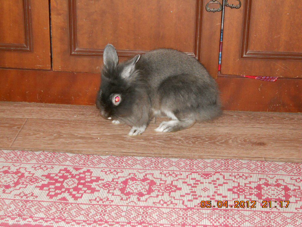 Анастасия Гладких ZigoCactus | Новосибирск