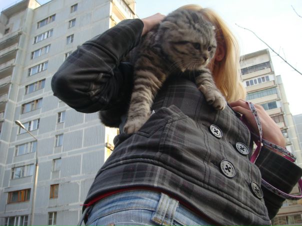 №118, Мария Рыжова, Москва №118, Мария Рыжова, Москва