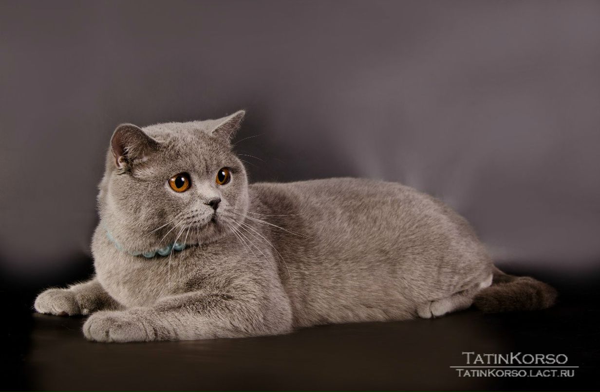 Алёна Копылова | Одесса