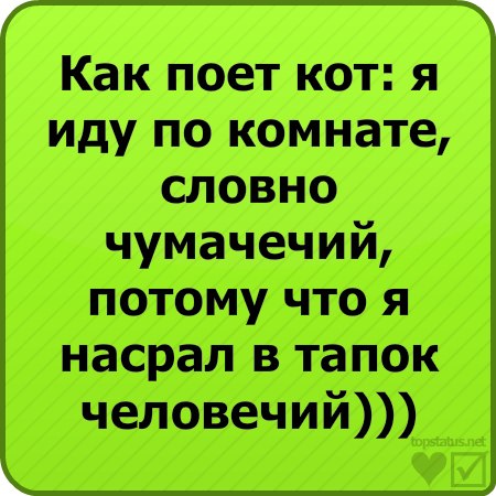 Катя Лысакова | Покров / Орджоникидзе